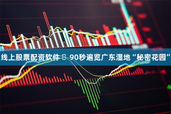 线上股票配资软件 ​90秒遍览广东湿地“秘密花园”