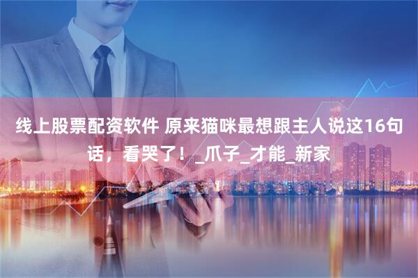 线上股票配资软件 原来猫咪最想跟主人说这16句话，看哭了！_爪子_才能_新家