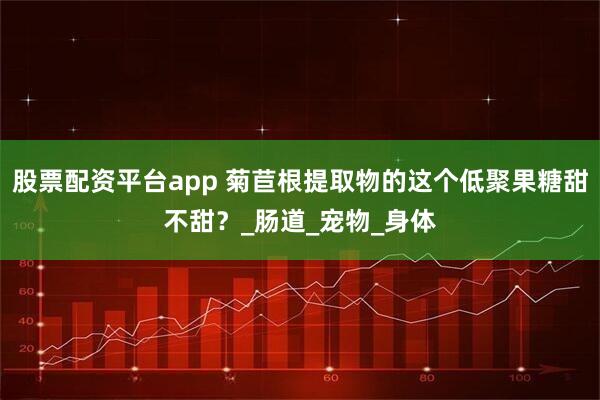 股票配资平台app 菊苣根提取物的这个低聚果糖甜不甜？_肠道_宠物_身体